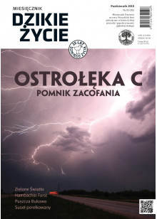 Dzikie Życie 2018, nr 10 (292) październik :: mobi