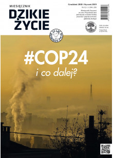 Dzikie Życie 2018-2019, nr 12-1 (294-295) grudzień-styczeń :: mobi
